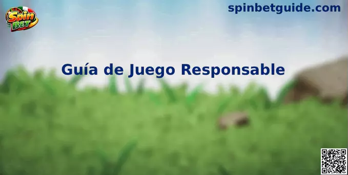 Guía de Juego Responsable Spin Bet